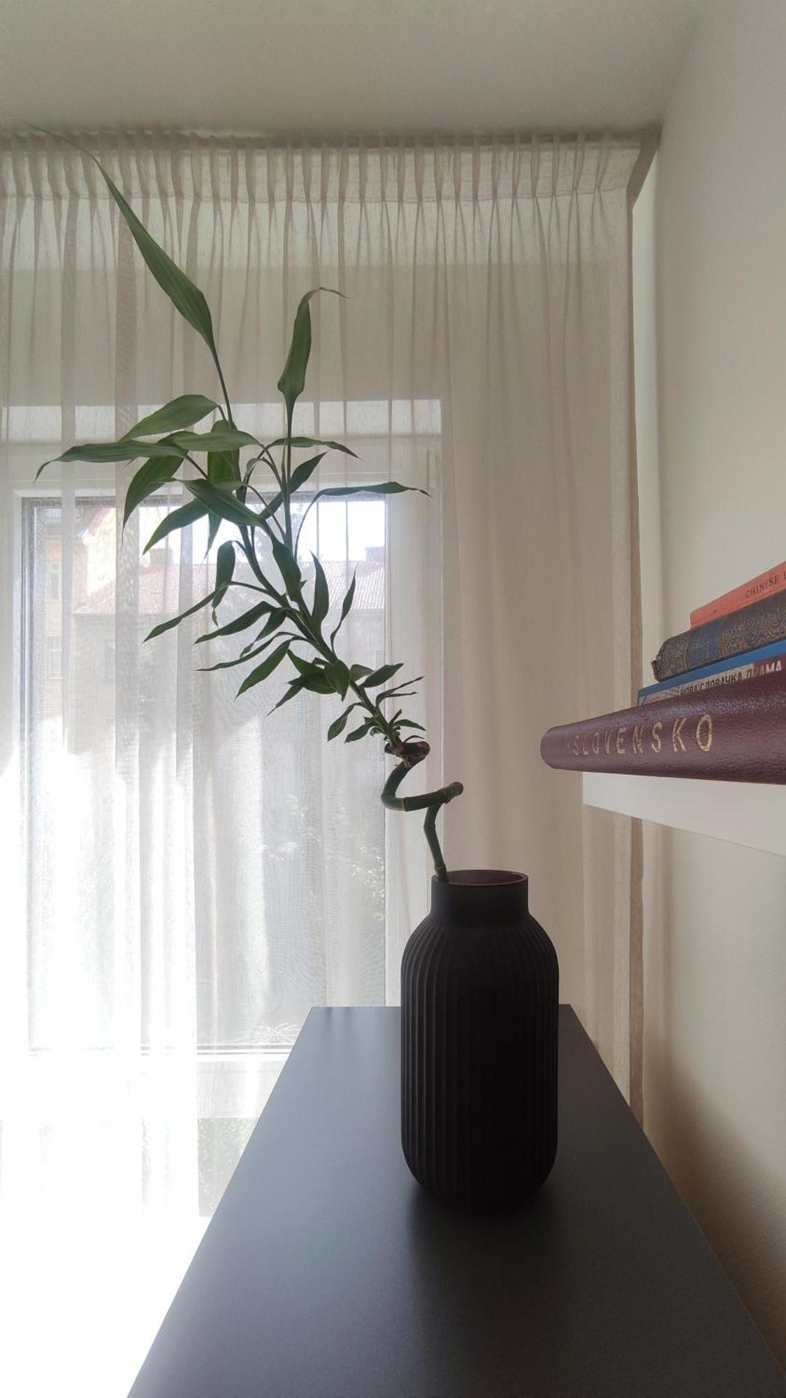 Elegant Escape Apartment II - City Centre Bratislava Eksteriør bilde